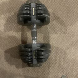 Nautilus Adjustable Weights 