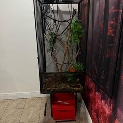 Chameleon setup