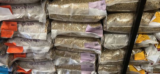 Bird Food 25lbs To 50lbs. For Parakeet, Cockatiel, Pigeon, Finches, Canary And Parrot 