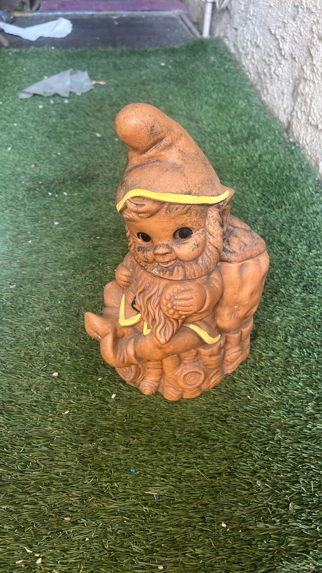 Twin Watson Gnome