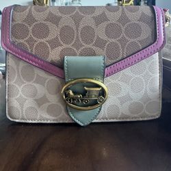 Coach And Dooney Purse