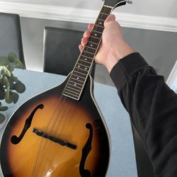 Rogue Mandolin 