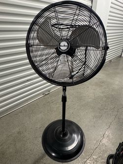 Fan