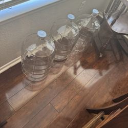 5 Gallon Glass Jugs 60$ Each