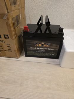 WEIZE Lawn & Garden AGM Battery 12V U1