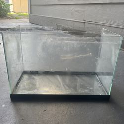 5.5 Gallon Rimless Fish tank With Filter Included 