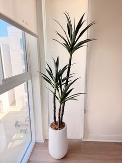 Large Faux Yucca Tree in White Planter – Ashley Furniture