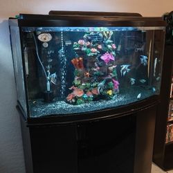 Fish Tank With Everything.