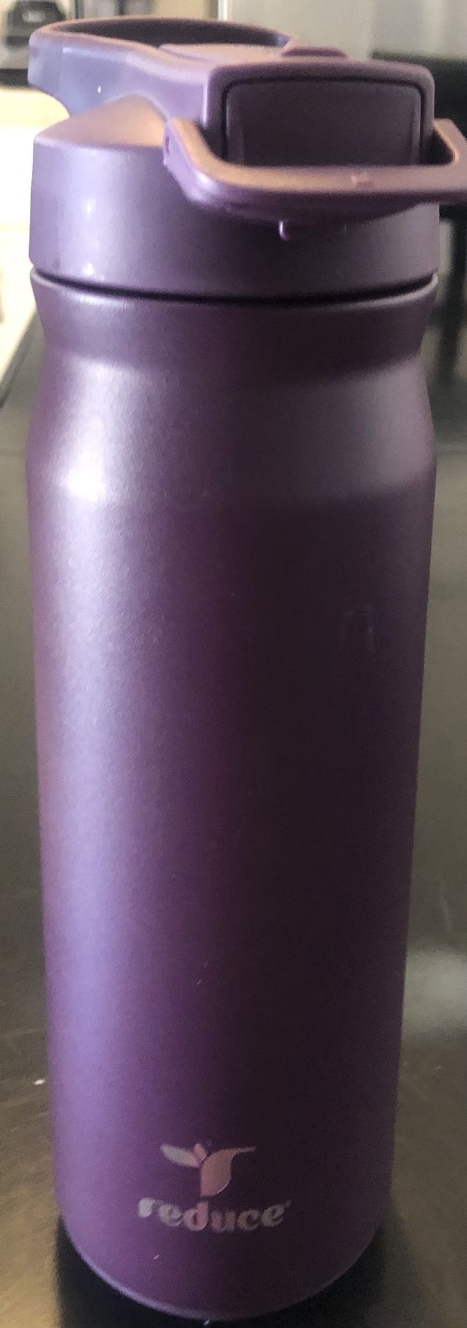 Reduce 32oz Hydrate Pro Vacuum Insulated Stainless Steel Water Bottle