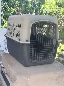Dog kennel