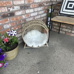 Small Wicker Cat Or Dog Bed 