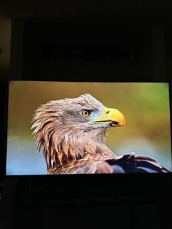65” Samsung 4K QLED 