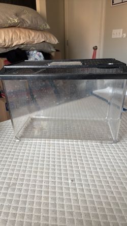 10 gallon tank