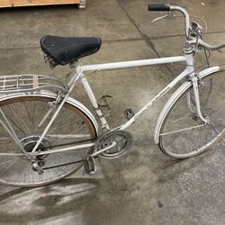 Vintage Schwinn Suburban 