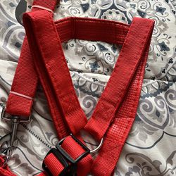 Red leash and harness 