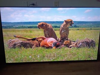 70 inch Onn Smart TV(best offer)