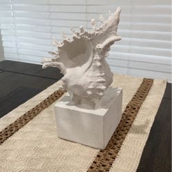 Seashell Decoration