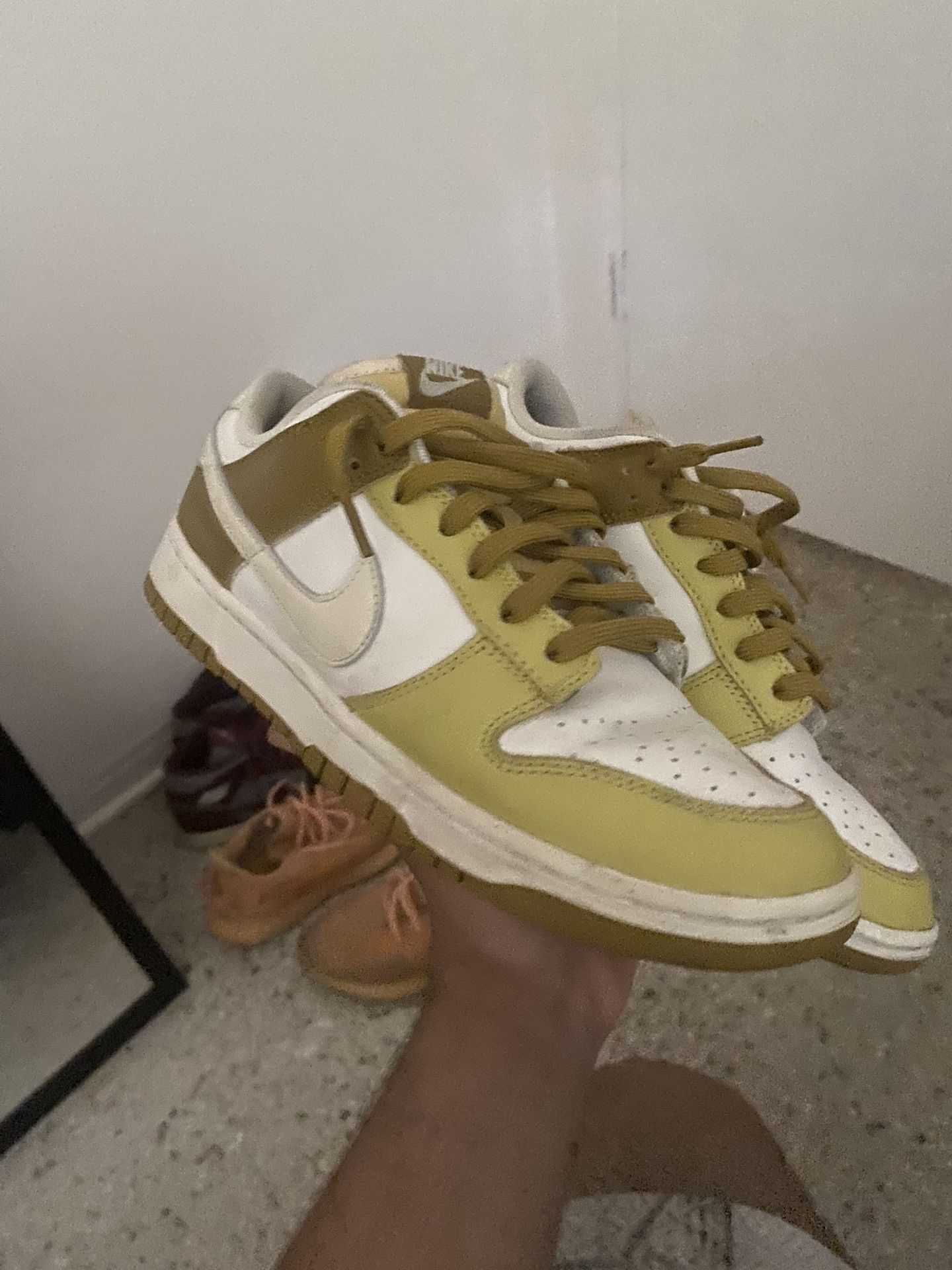 jordan dunks
