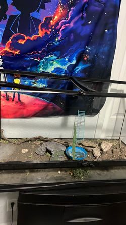 40 inch Glass Reptile Terrarium with Accessories