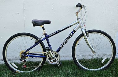 Giant Sedona Comfort / Hybrid Bike – Size Small