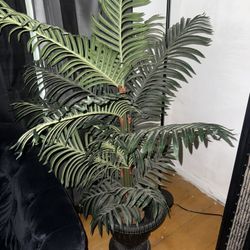 Artificial Plants (Best Offer! Not Free)