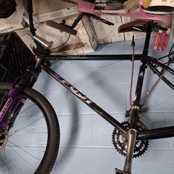 25th Anniversary Fuji
