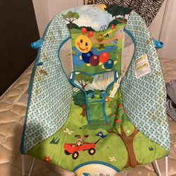 Baby Einstein Bouncer