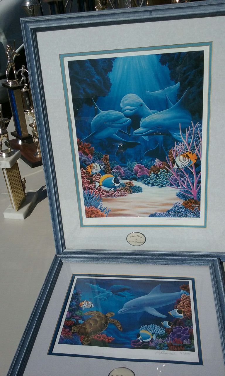 Eric van Raemdonck DOLPHINS PARADISE. set of 2