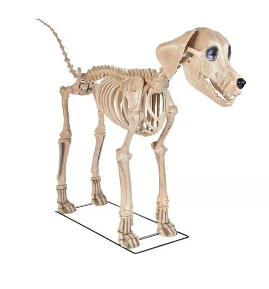 7ft Halloween Skelly Dog