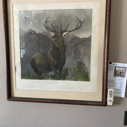 Great Elk 