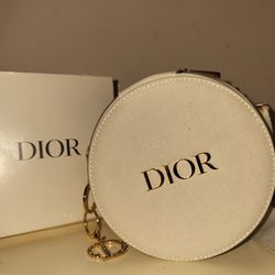 Dior Vanity Purse