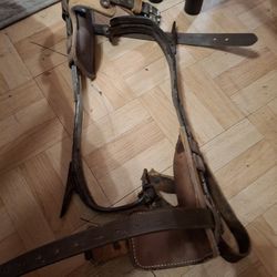 Lineman Climbing Spikes