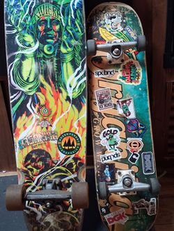 Two Used Complete Skateboards Organika and DGK