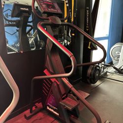 Stairmaster FreeClimber 4600PT