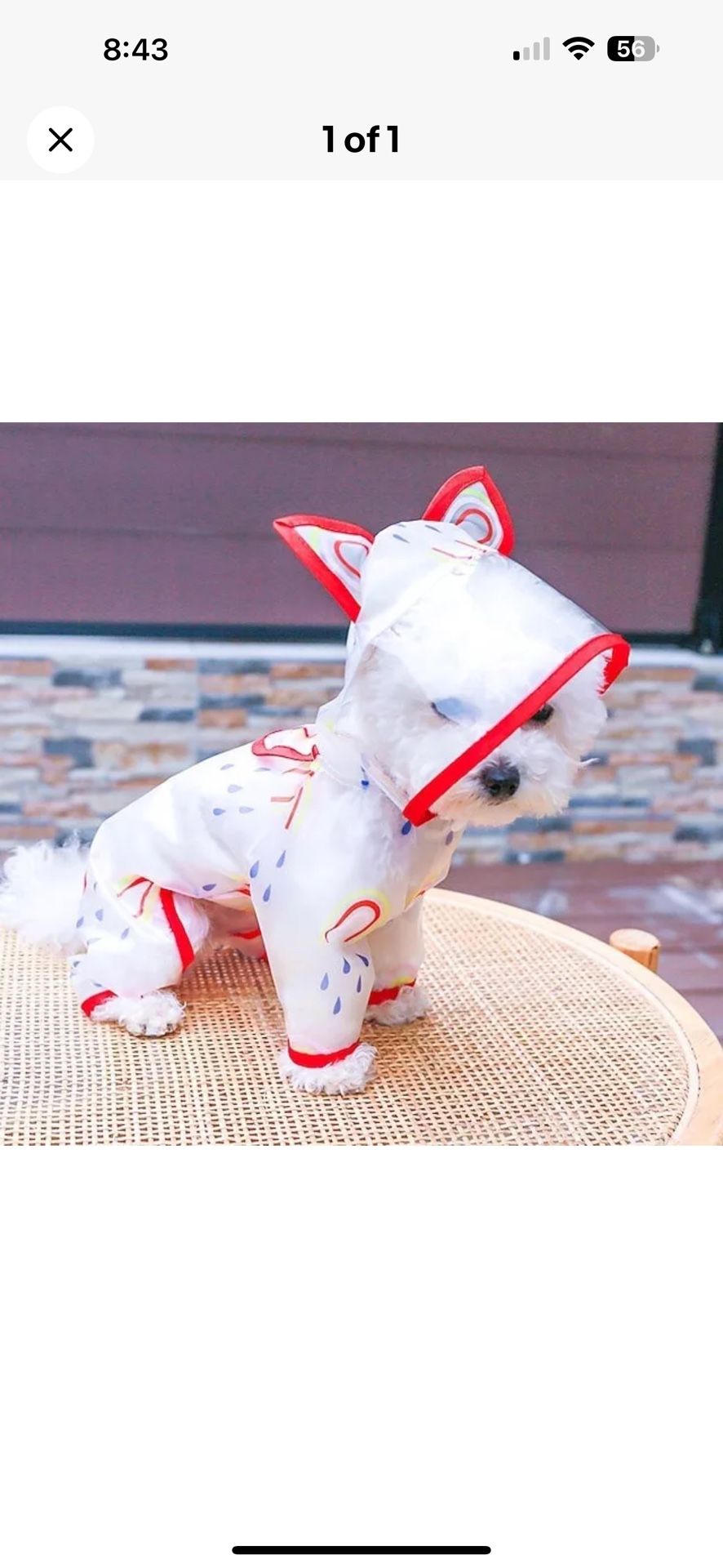 Dog Raincoat Transparent Waterproof Red Rainbow Raincoat Super Cute