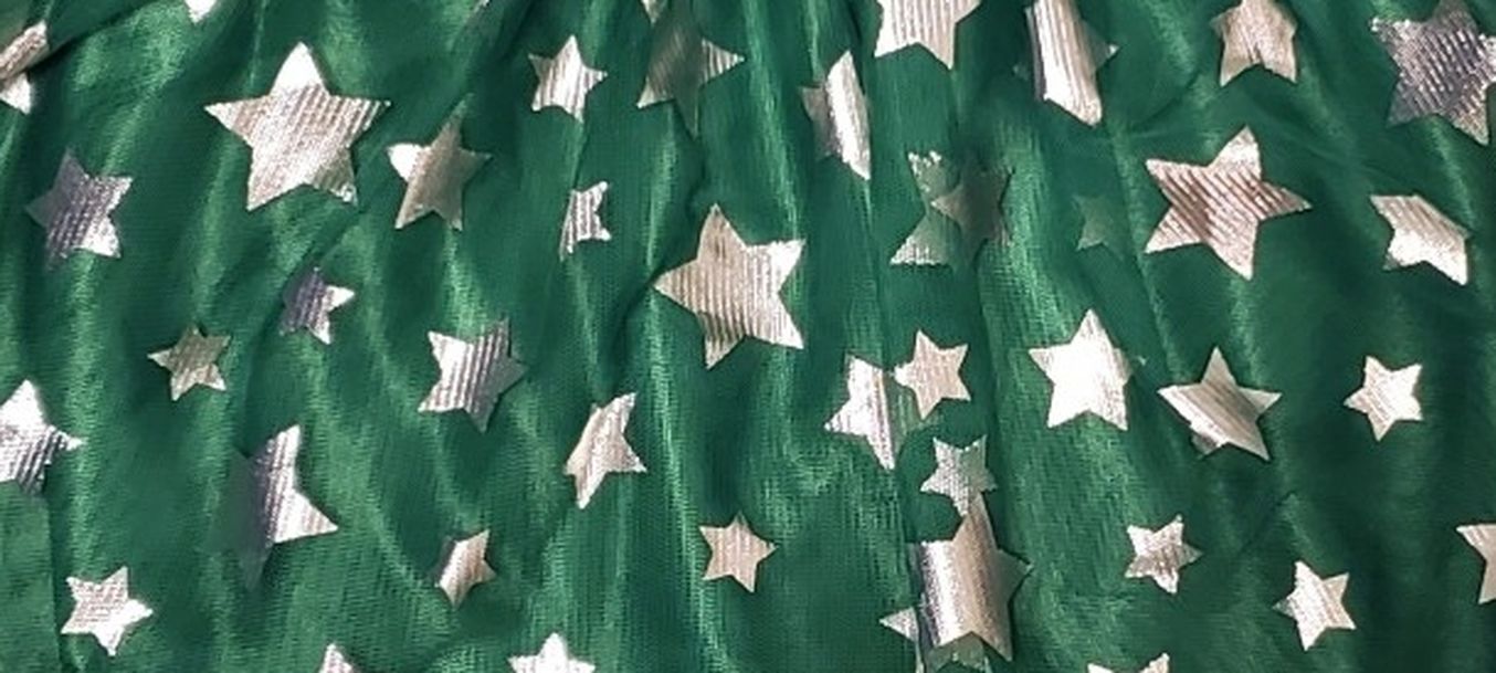 Holiday Times Girls Skirt Size 10-12