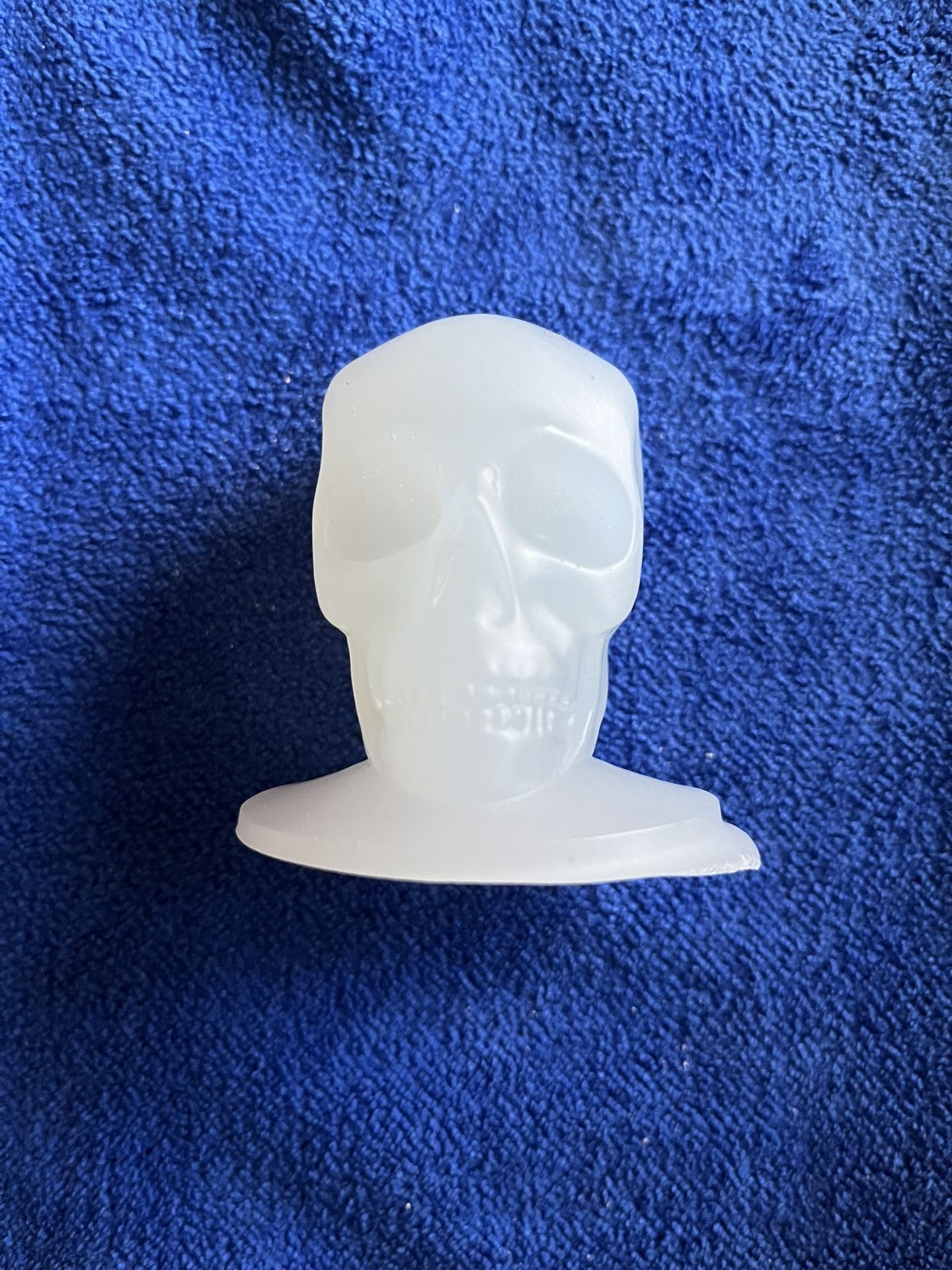 Skull Centerpiece/Paperweight