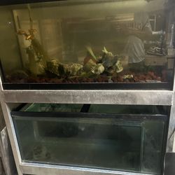 Two. 90 Gallon Fish tank And Stand Combo