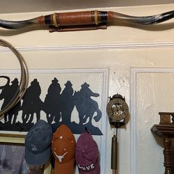 6 ft (Real) Texas Longhorns 