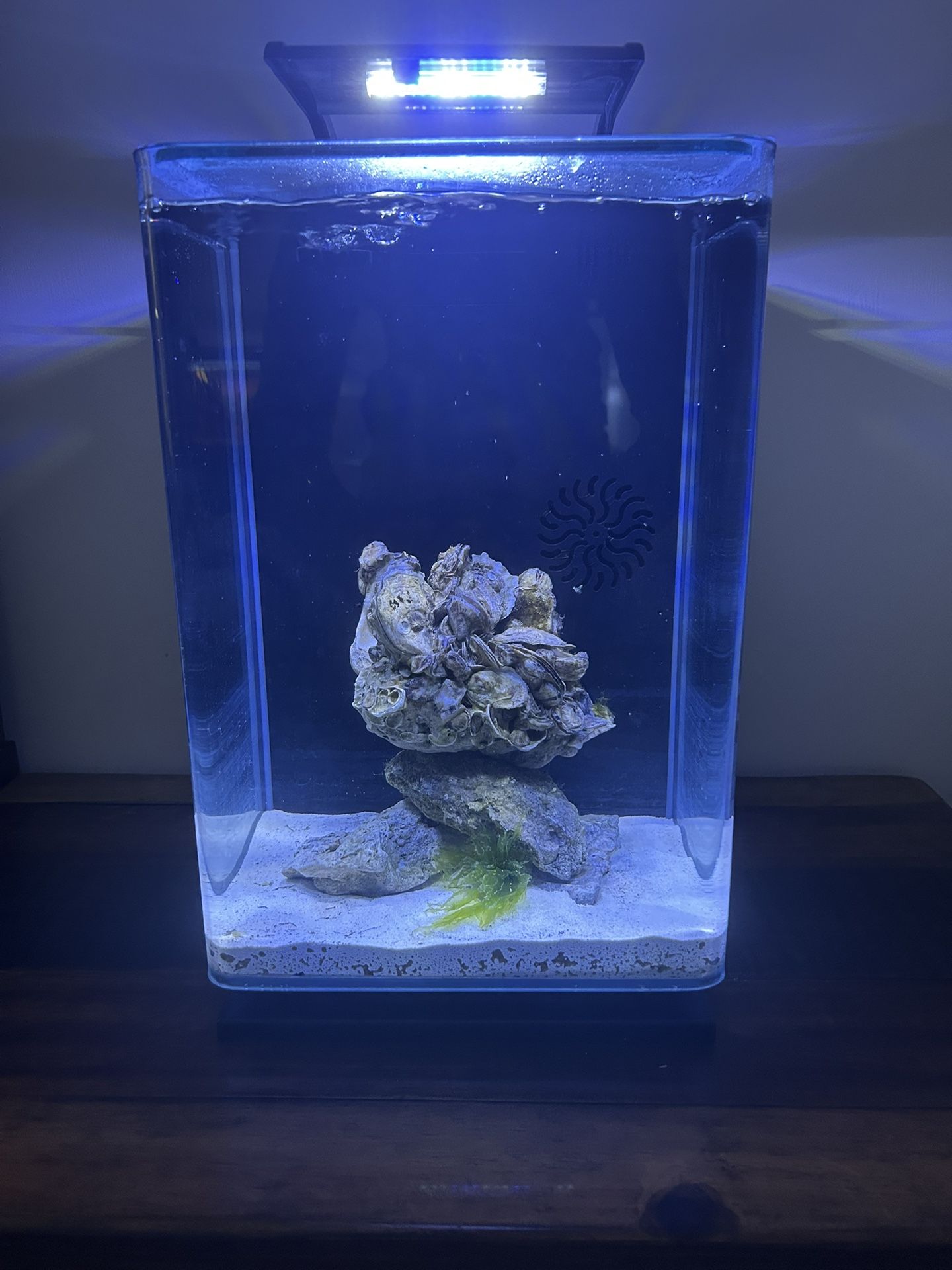 5 Gallon Tank