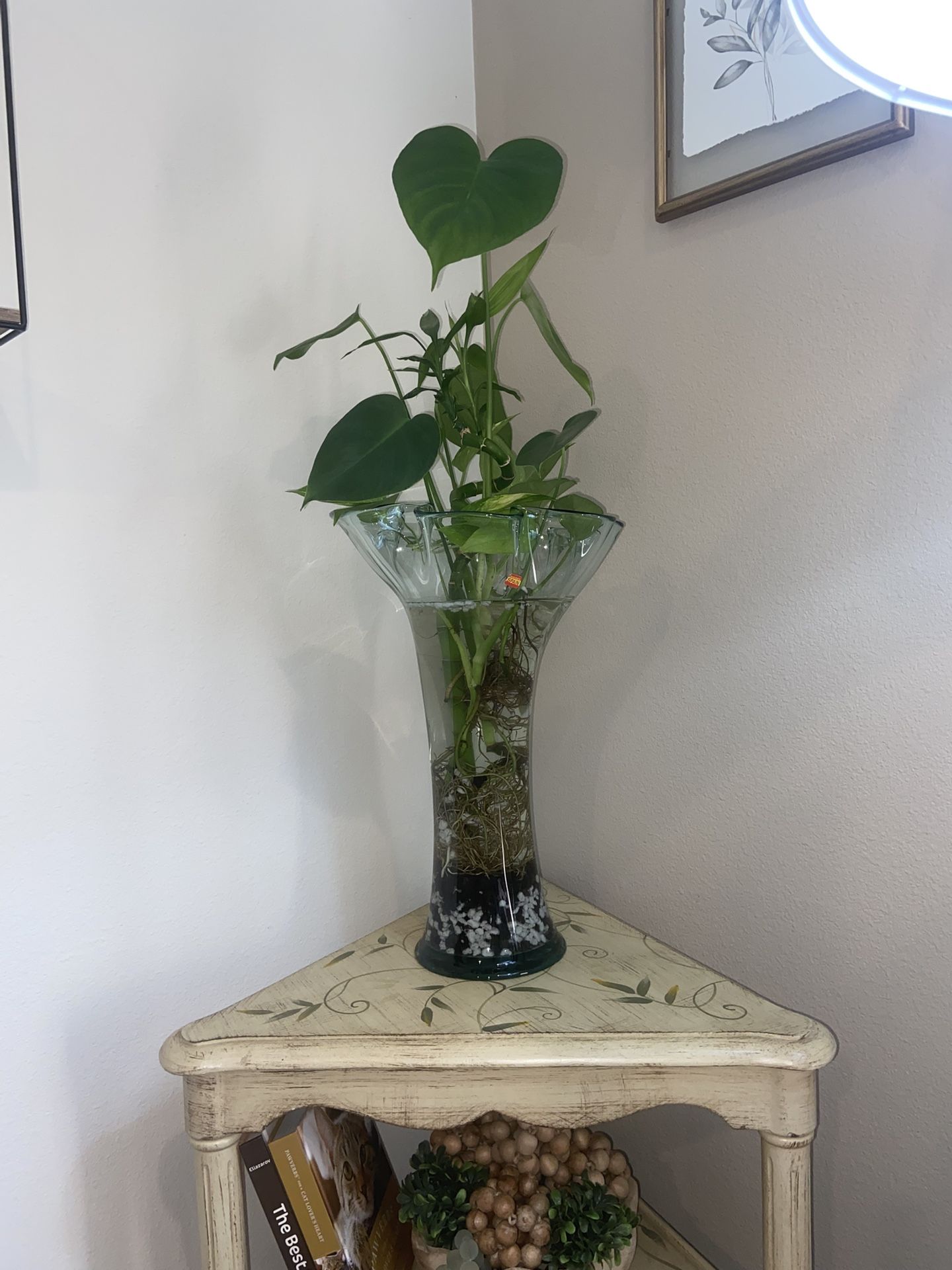 Monstera Bundle In Spanish Glass Vase