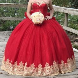 Vestido de Quinceañera/ Quinceañera Dress/ Fifteen Dress