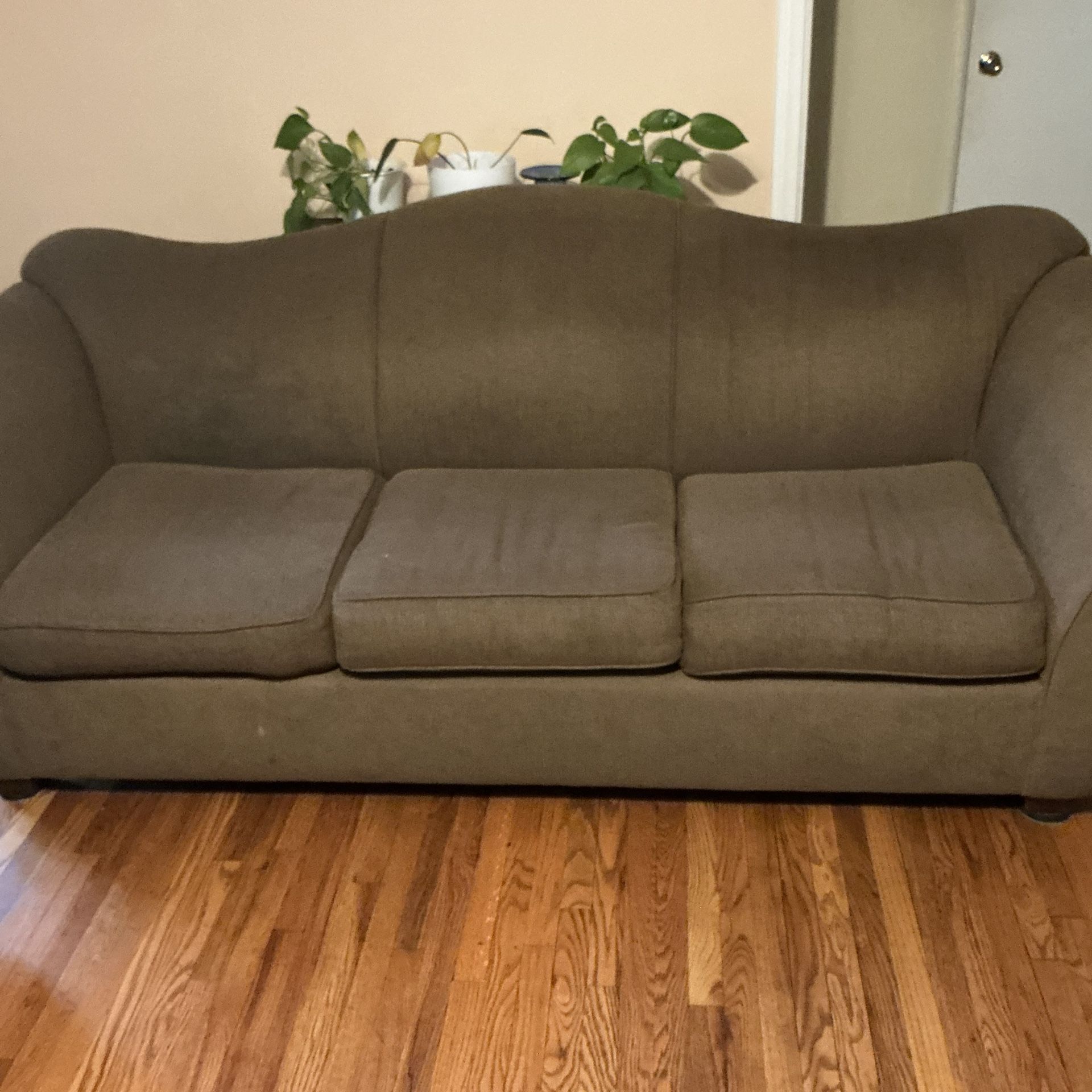 Sofa Sleeper. FREE