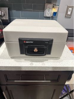 Sentry 1150 safe
