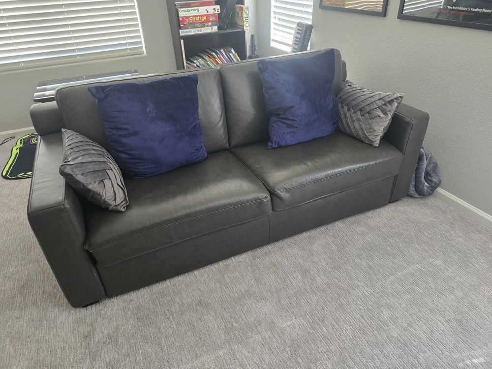 Pull Out Hideaway Sleeper Couch