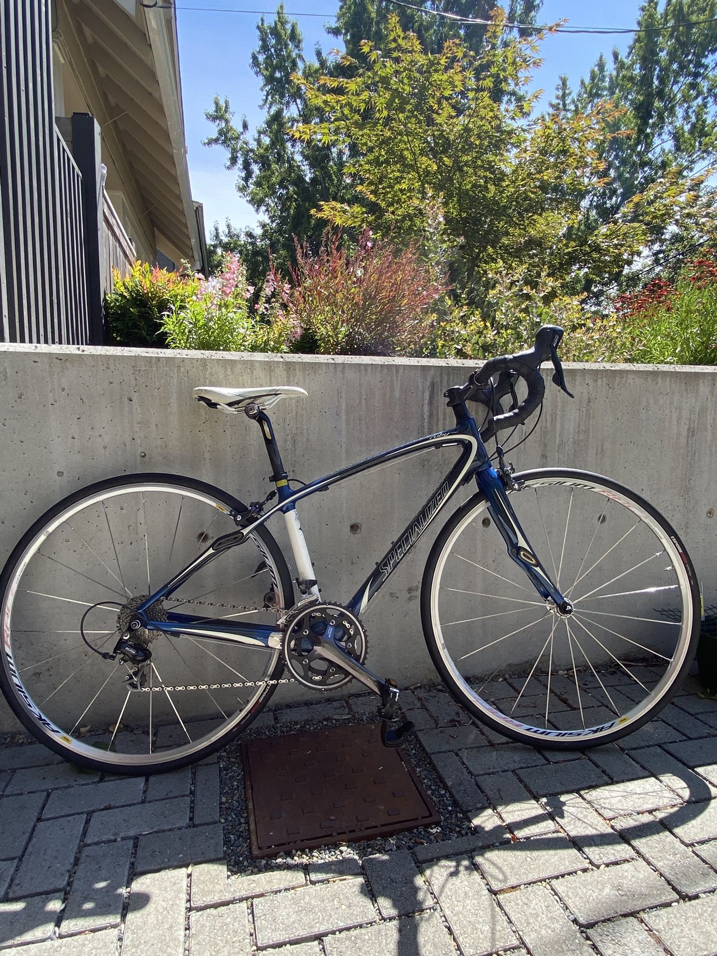 Specialized Ruby Comp blue - 48