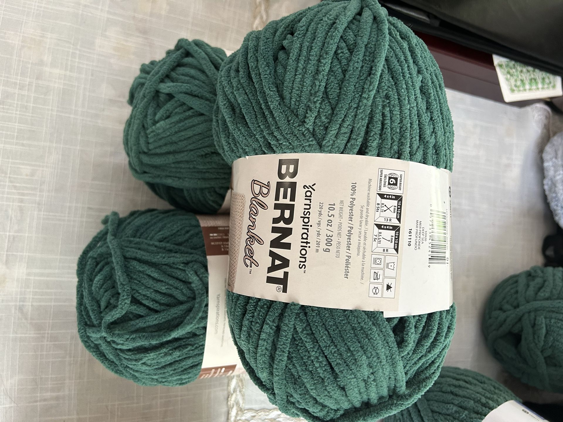 Bernat Blanket Chenille Yarn-3-NEW