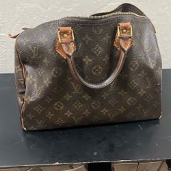 Louis Vuitton Purse 