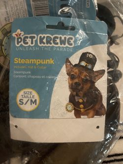 Pet steampunk Costume