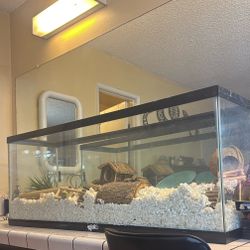 4ft Tank with Hamster Accessories 